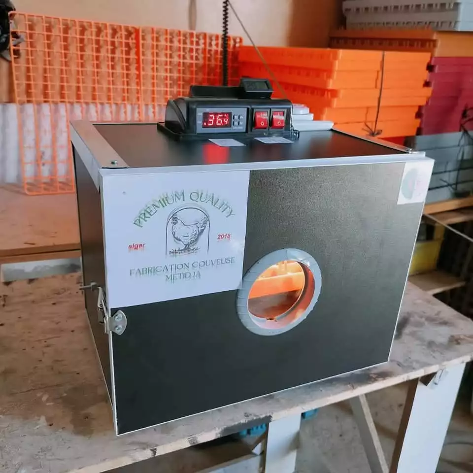 فقاصة بيض الدجاج